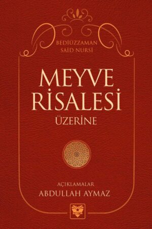 Meyve Risalesi Üzerine