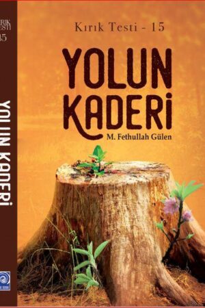 Yolun Kaderi