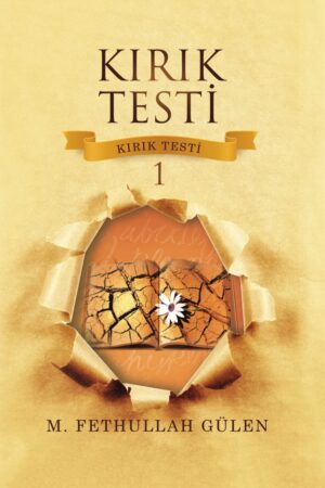 Kırık Testi 1